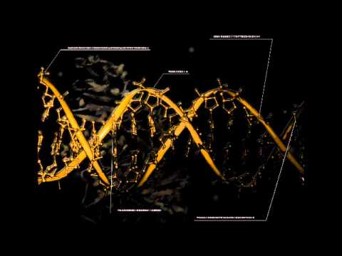 PRESTO - ∞ - Post Infinite Rhyme Ft. Canibus (Various Mixers)