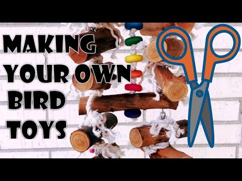 download lagu mp3 mp4 Build Your Own Bird Toys, download lagu Build Your Own Bird Toys gratis, unduh video klip Build Your Own Bird Toys