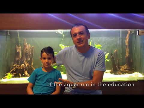 What is BIOTOPE AQUARIUM? Let’s ask HUDSON CRISANTO, discus expert!