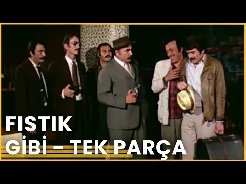 FISTIK GİBİ | Sadri Alışık, Feri Cansel Filmleri |  Türk Komedi Filmi İzle (Restorasyonlu)