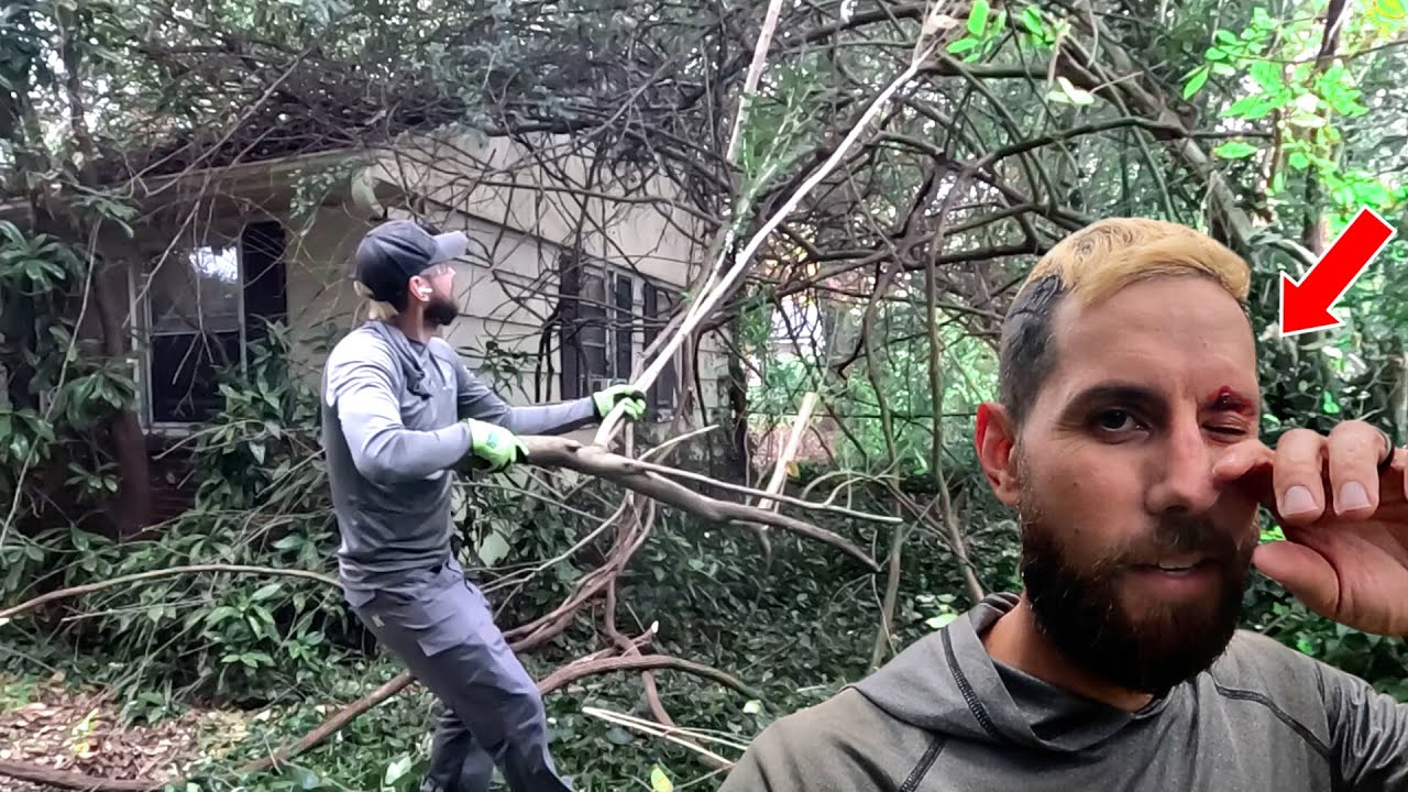 Vines CONSUME this House and nearly SEND me to the HOSPITAL! 🤕