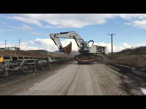 Crazy Liebherr 984 Excavator Transport By Side