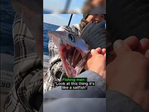 This Guy Caught a Super Rare Fish 🐟