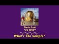 What S The Sample Travis Scott 5 TINT