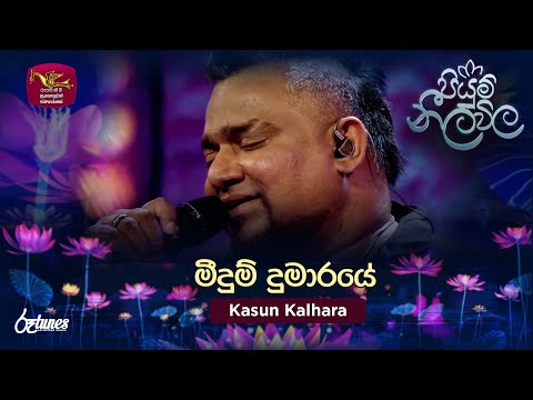 Meedum Dumaraye | මීදුම් දුමාරයේ | Kasun Kalhara | Piyum Neela Vila | Roo Tunes