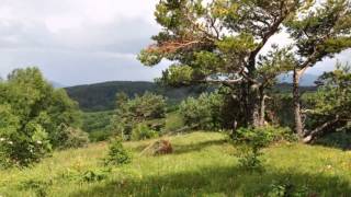 preview picture of video 'Кавказ предо мною! 13г Потрясающие виды гор Уруштен Бамбак тд Caucasus'
