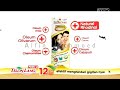 Iklan Telon Lang Plus Ibu Puy Brahmantya Dan Nyamuk 15s 2017