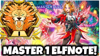 MASTER 1 with ELFNOTE! EASY WINS!