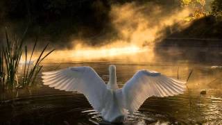 I&#39;d Love You To Want Me   Anthony Ventura