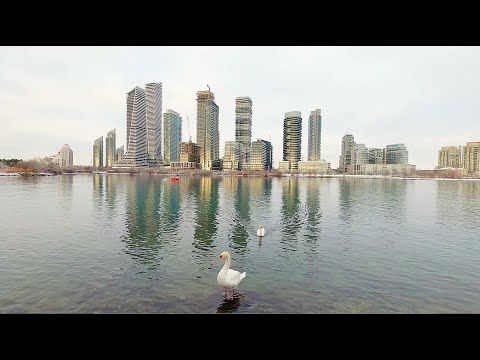 Winter Toronto Walk on Lakeshore, Lake Ontario Shores in Winter, Toronto Waterfront Walk