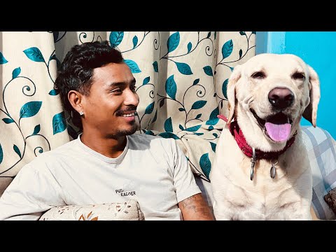 MY PAYMENT FROM YOUTUBE || MY YOUTUBE EARRING