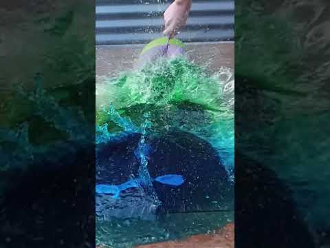 Epic 5x Water Balloon Pop IN SUPER SLOW MOTION REVERSE!