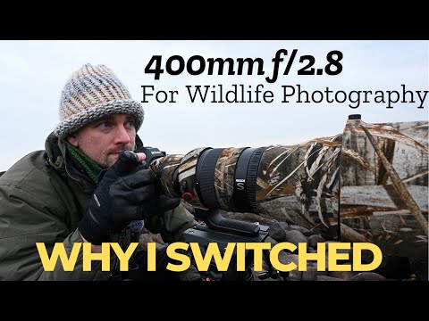 Nikon Nikkor Z 400mm f2.8 for Wildlife Photography:  Why I switched from the Nikon 600mm f4