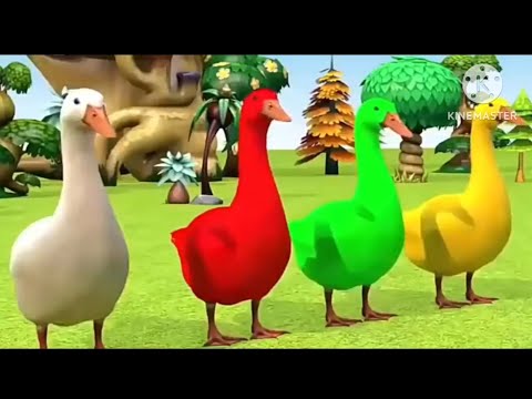 Animals family.colors animals. #Akhi kids Tv . videos