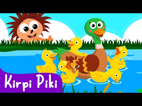 Beş Küçük Ördek - Sayı Saymayı Öğrenelim! - Bebek Şarkıları - Kirpi Piki Çizgi Film Çocuk Şarkıları