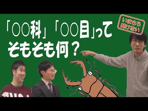 翼翅目 (系統分類)について詳しく解説