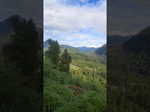 #parque panorámico #lago ranco #región de los rios