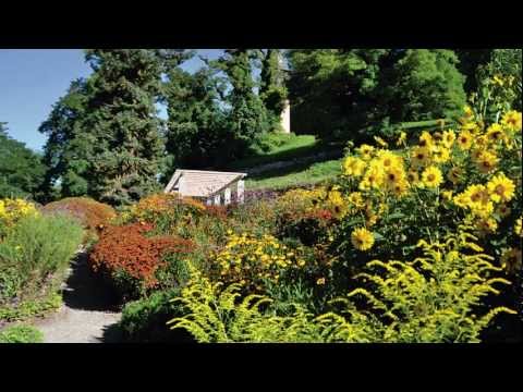Der Bodensee und seine Menschen - Folge 16: Mainau