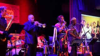 Lynne Jordan & the Shivers Live  soul music compilation