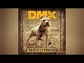 DMX - Get it on the Floor (Clean) (feat. Swizz Beatz)