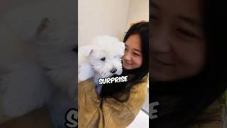 Download lagu She Already Owned Him ‼️😱 #shorts #viral #trending mp3