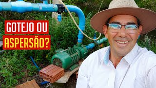 Veja como eu fiz a IRRIGAÇÃO no CAPIAÇU, Método Custo Baixo!