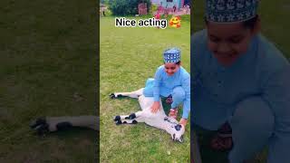 Download lagu Masha Allah nice acting 😊😊#shots #viralvideo #trending #islamic #beautiful #video mp3