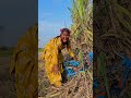 Kallo Chala Re Kallu Ki Video Cycle