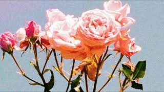 Download lagu Toca Toca (Slowed❤️‍🔥) Fly Project mp3