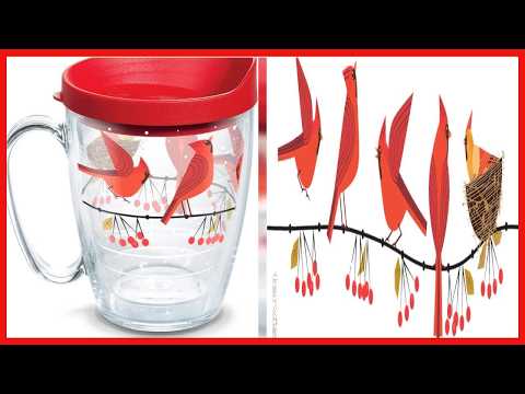 Tervis Tumblers Review: Durable, Insulated Drinkware That Keeps Drinks Perfect