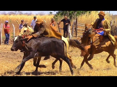 PRÉVIA do Parque Bom Retiro 