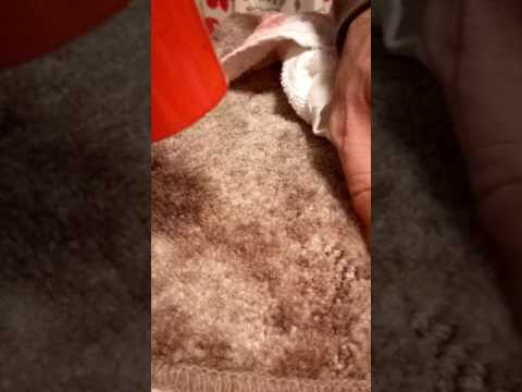 Candle wax removal from carpets using a hair dryer.