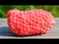 ASMR Crushed Snail Eggs Apple Snail Eggs Satisfying Relaxing Snail 8