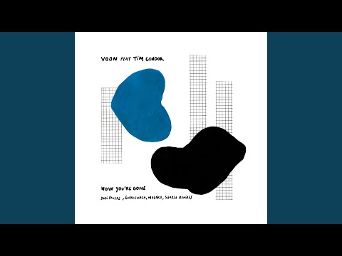 Now You're Gone (Dodi Palese Remix)