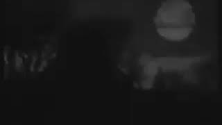 &quot; DARK DELIGHT &quot;   Sopor Aeternus &amp; The Ensemble of Shadows