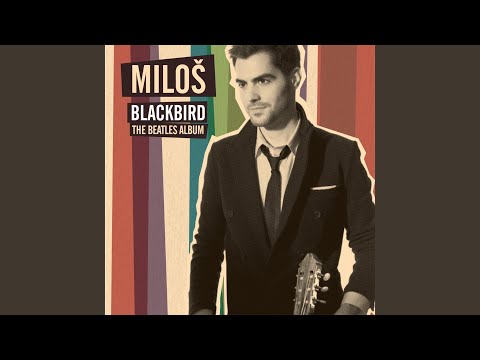 The Fool On The Hill