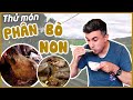 EATING COW POOP In RURAL VIETNAM Tried For The First Time Cow Poop Review