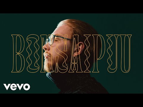 Aleksanteri Hakaniemi - Bonsaipuu (Audio)