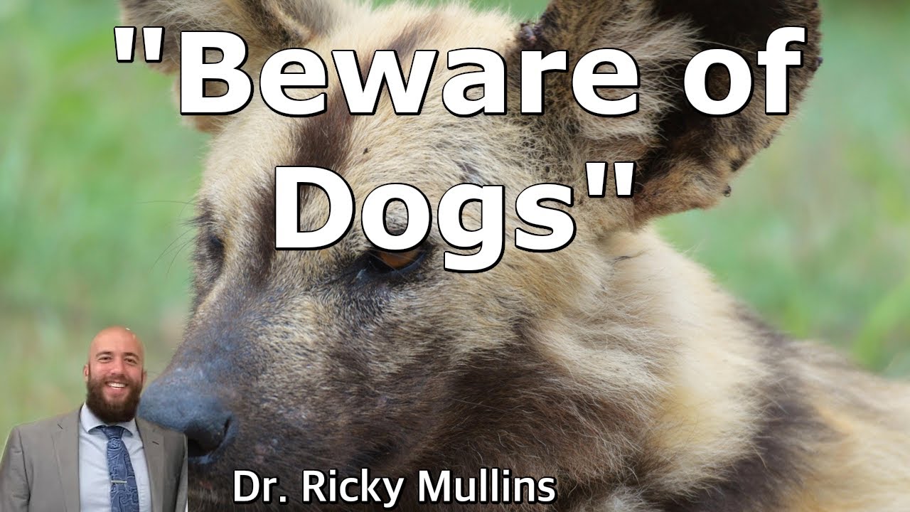 Beware of Dogs