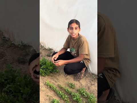 ماذا زرع أطفال مجتمع دار الرجاء؟