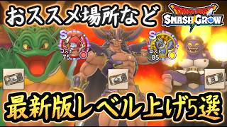 DQSG 7/30最新版！レベル上げ内容まとめ5選！効率の良い周回場所やメモリ集めはココ！ドラクエスマグロ 攻略【メイルス】【Dragon Quest Smash Grow】