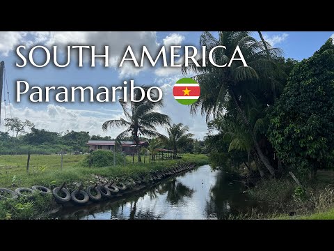 Walking in a Suburb and Rural area in Paramaribo 🌴 | Suriname (South America) | 4k walk