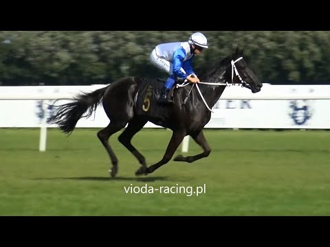 Gon. IV (N. Zenda) - 12.09.2020 - Lady Joanna (Harzand - Classic Remark)