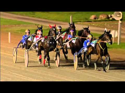 Victoria Park Wolvega 16-11-2013 NON BETTING BREEDERS CROWN C MERRIES TROOST