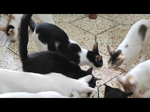 কিছু কথা বলার জন্য আসলাম🙂❤️