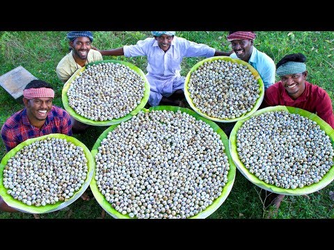 , title : '3000 QUAIL EGGS | Cooking Eggs in CLAY | Ancient Traditional Quail Egg Recipes Cooking In Village'