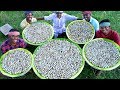 3000 QUAIL EGGS Cooking Eggs In CLAY Ancient Traditional Quail Egg Recipes Cooking In Village