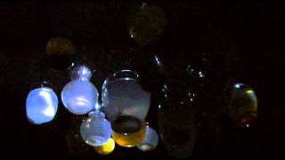 Vessels of Light & Decay