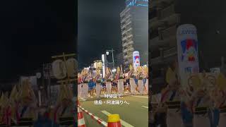 海外に出て、日本をもっと知りたくなった。