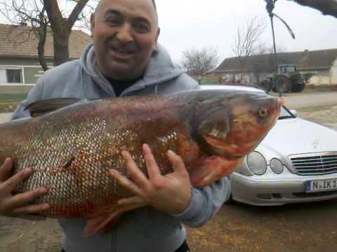 Codrut de la padureni!